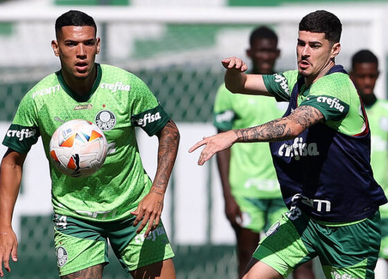 Palmeiras Libertadores