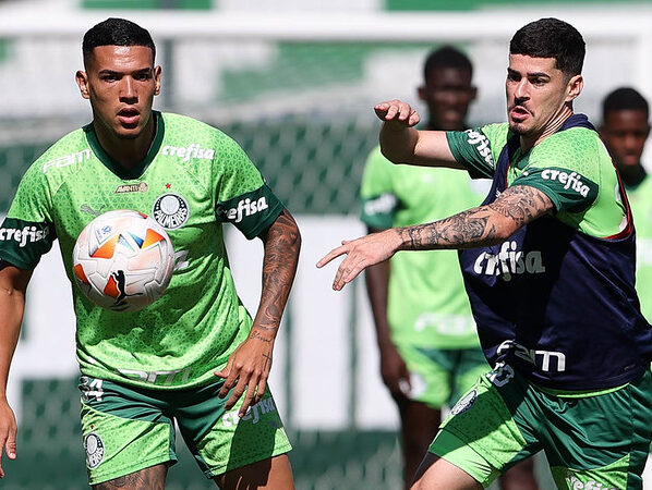 Palmeiras Libertadores