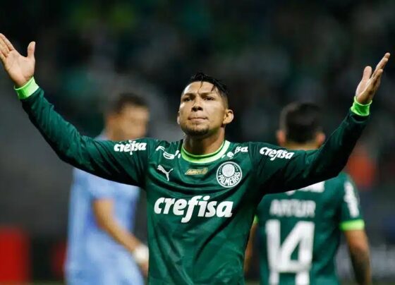 Palmeiras