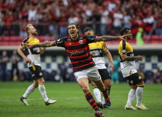 Pedro Flamengo 2024