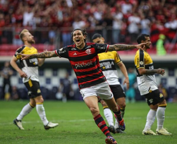 Pedro Flamengo 2024