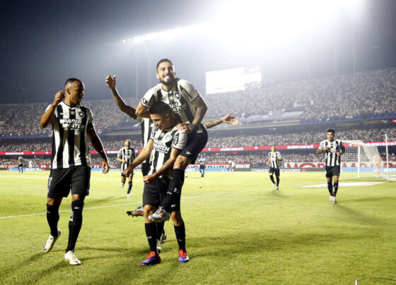 Botafogo está nas semifinais da Copa Libertadores